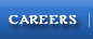 Careers